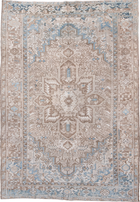 Antique Heriz Area Rug (7' x 11')